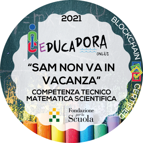 Competenza Logico Matematica- Educadora Onlus